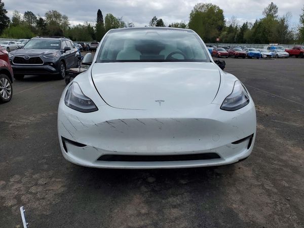 2025 TESLA MODEL Y