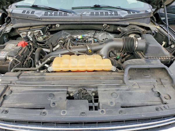 2019 FORD F150