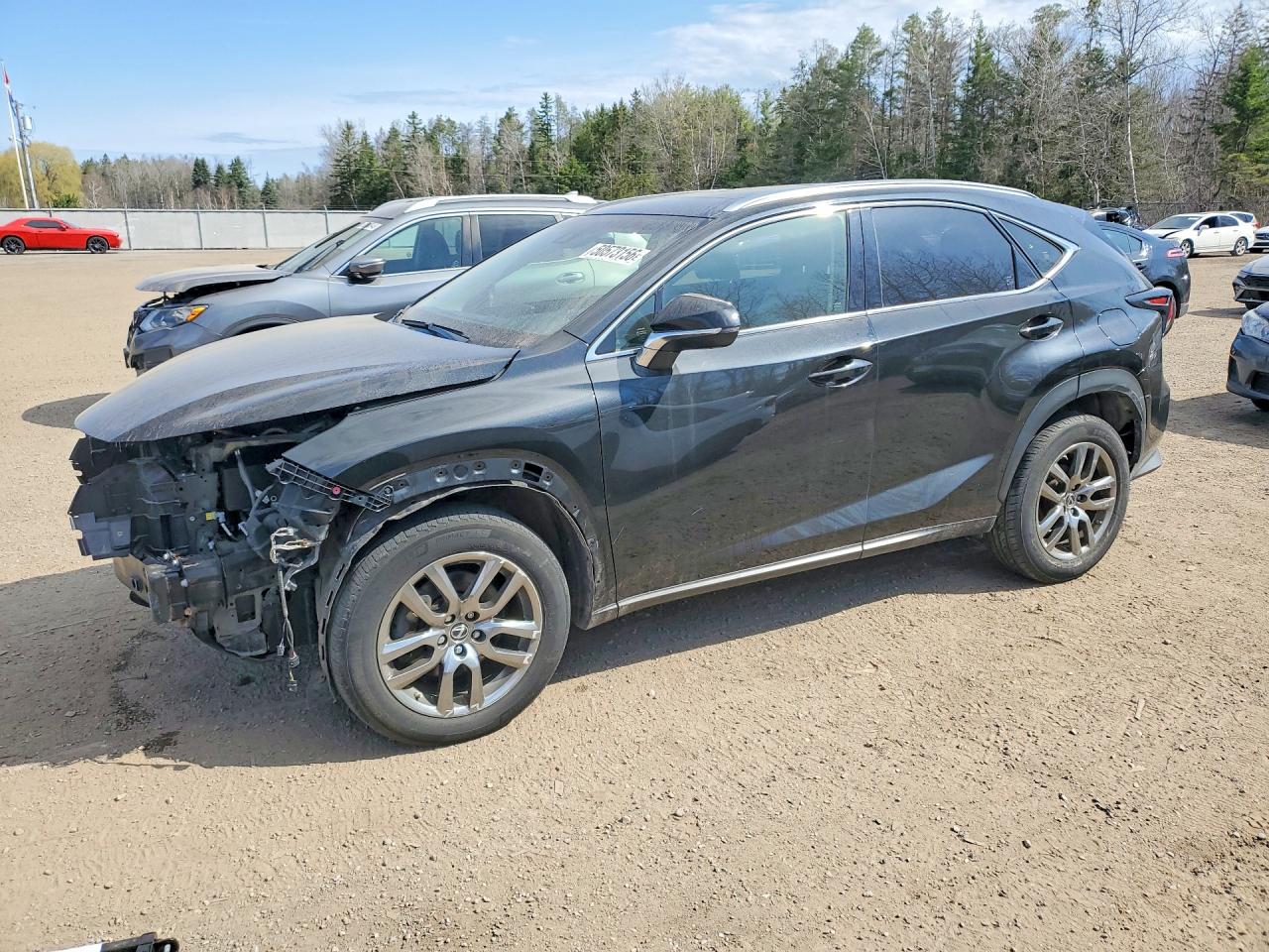 2019 LEXUS NX 300 300 Luxury