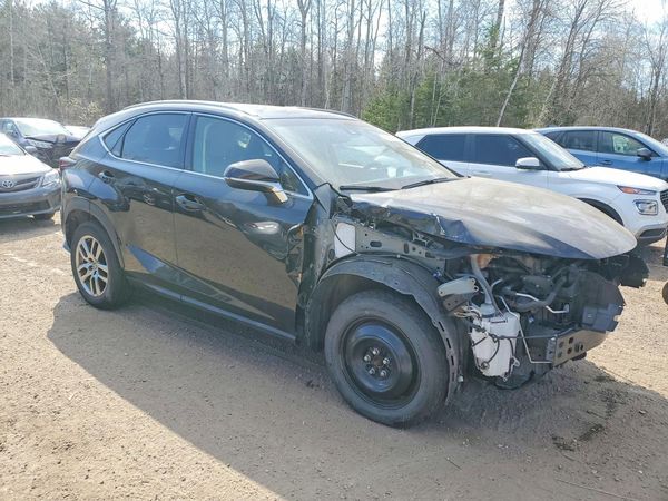 2019 LEXUS NX 300 300 Luxury