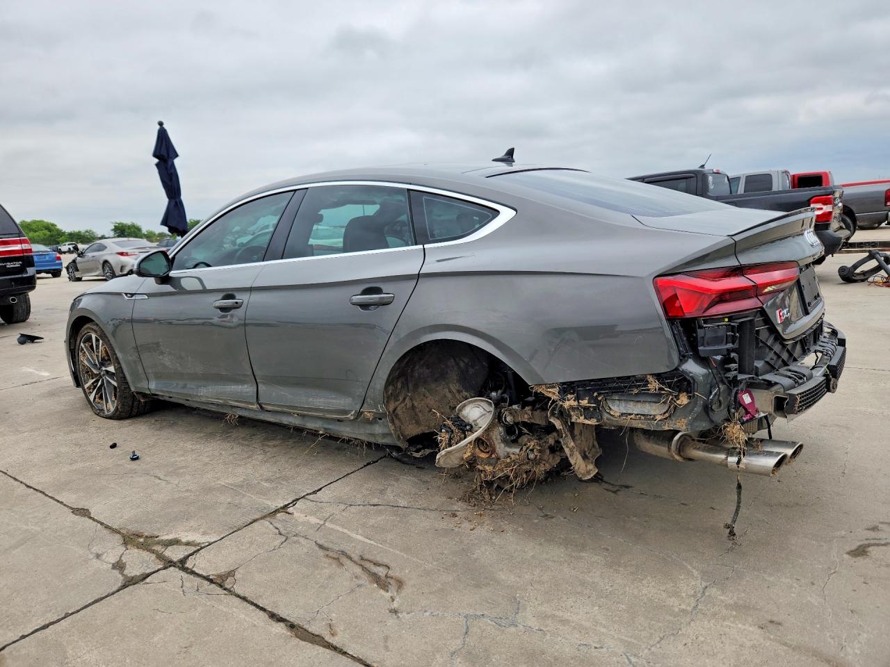 2024 AUDI S5 quattro Premium Plus