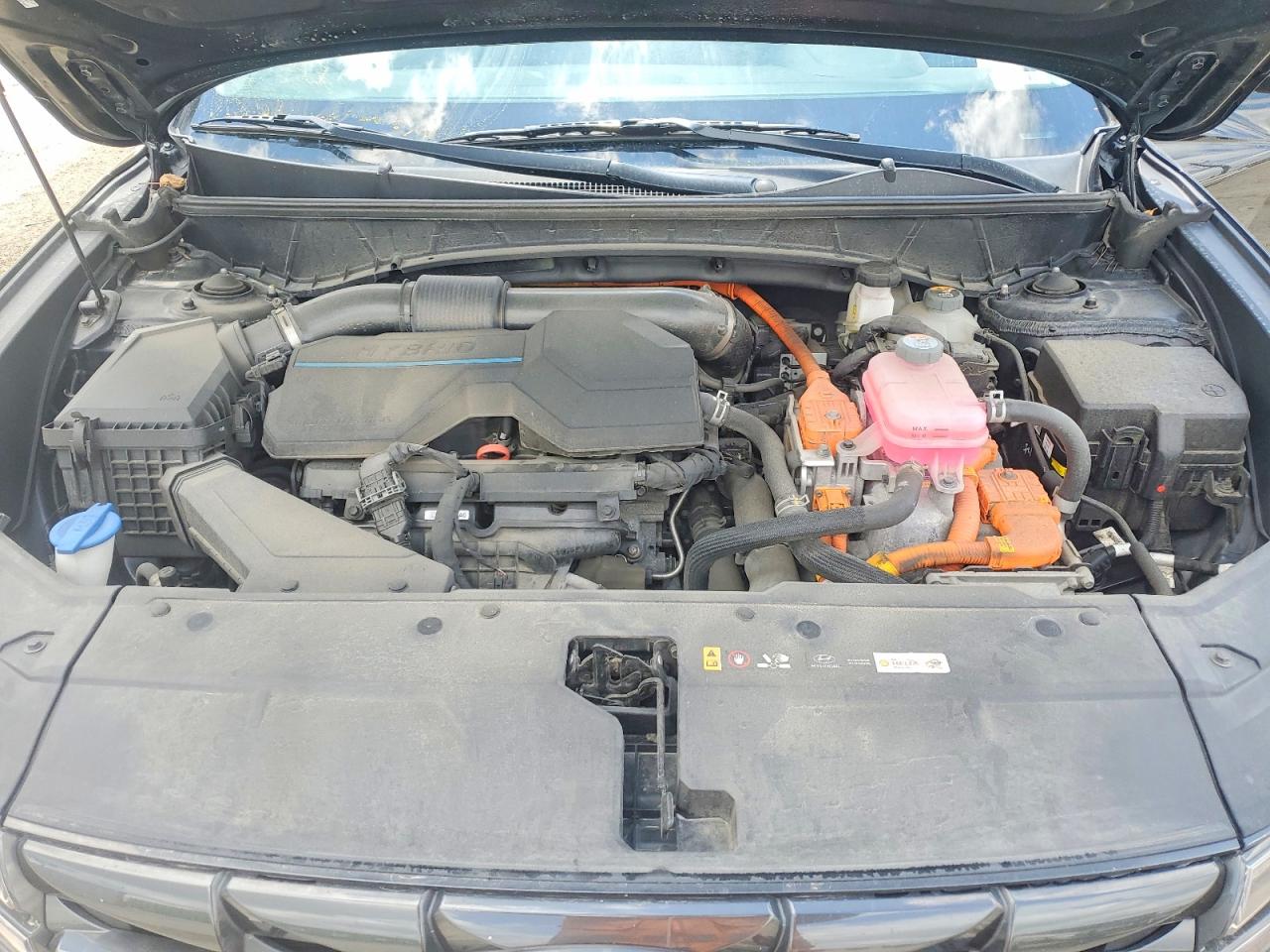 2022 HYUNDAI TUCSON Blue