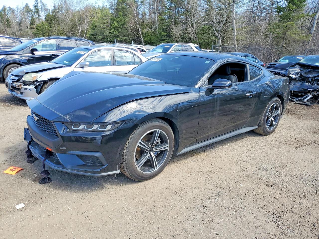 2024 FORD MUSTANG I4 — Front 3/4