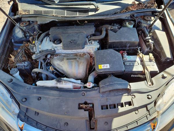 2017 TOYOTA CAMRY LE/SE/XLE/XSE