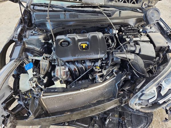 2019 KIA FORTE FE/LX/LXS