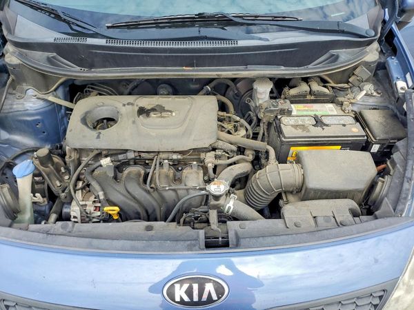 2016 KIA RIO