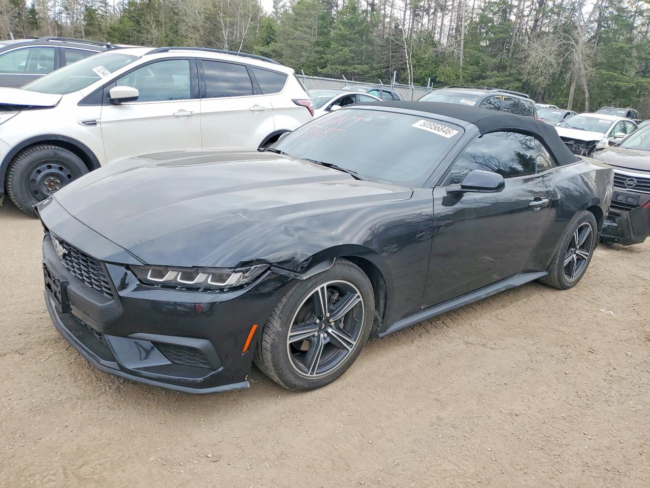 2024 FORD MUSTANG I4