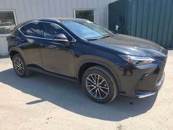 2024 LEXUS NX 350 Premium — Passenger 3/4