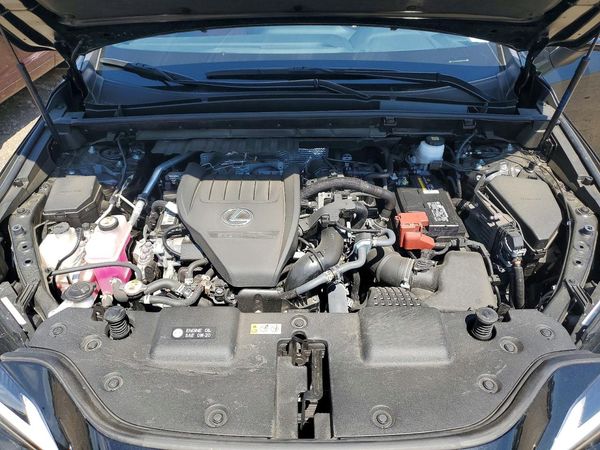 2024 LEXUS NX 350 Premium — Engine bay