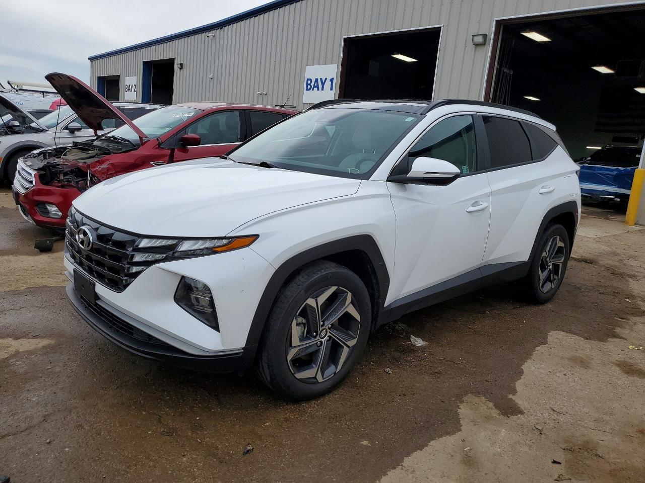 2024 HYUNDAI TUCSON SEL Convenience