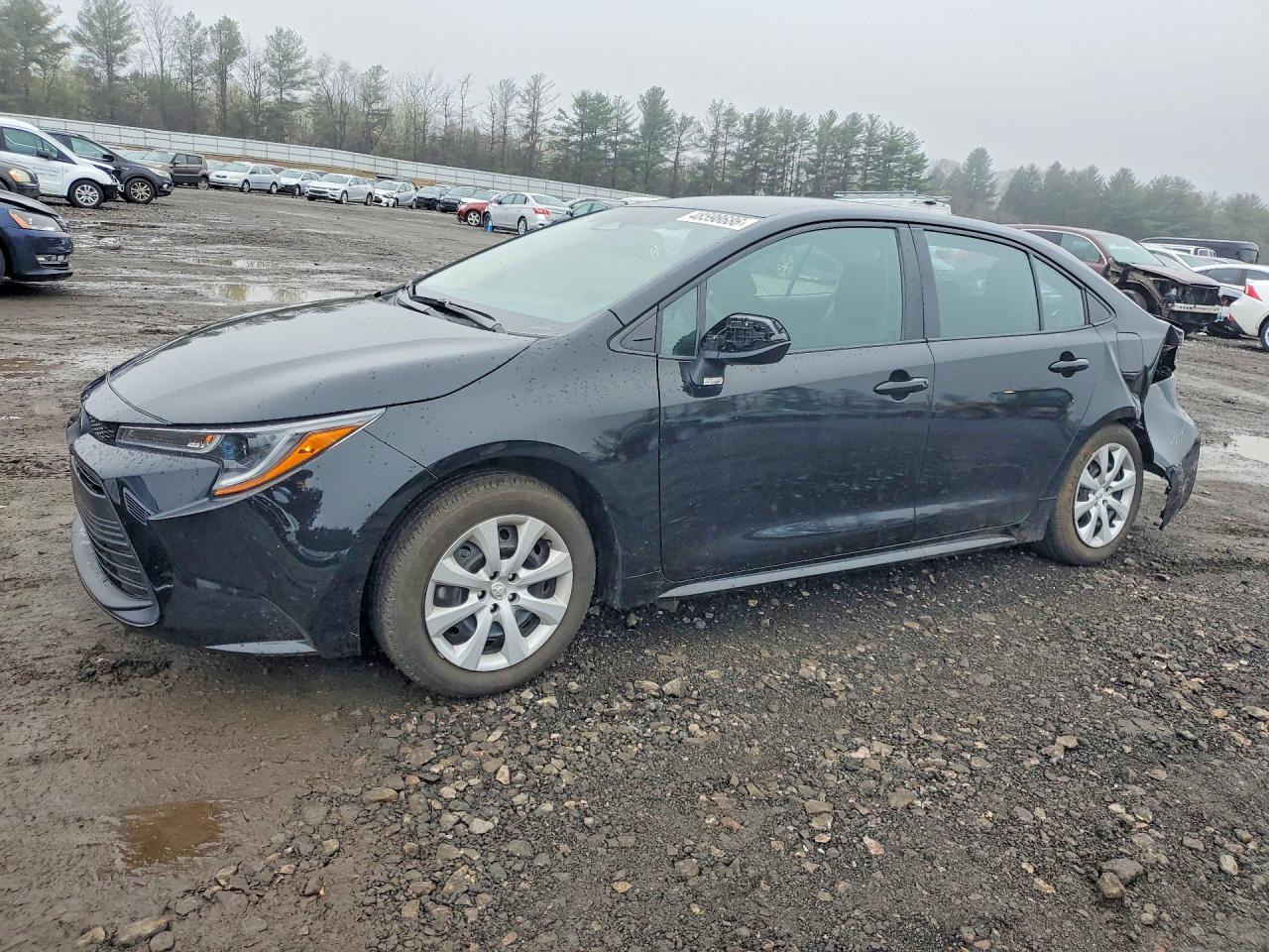 2024 TOYOTA COROLLA