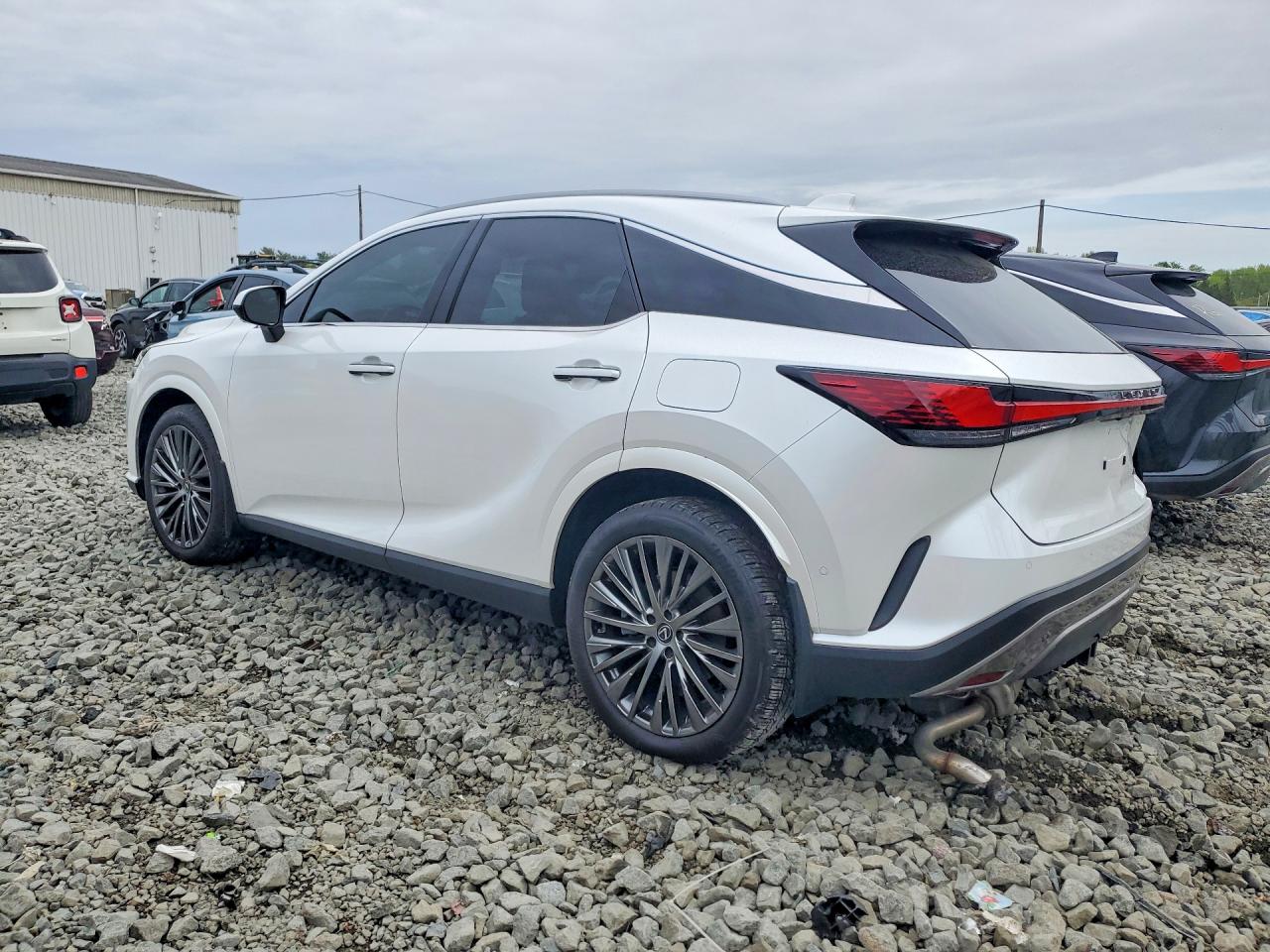 2024 LEXUS RX 350