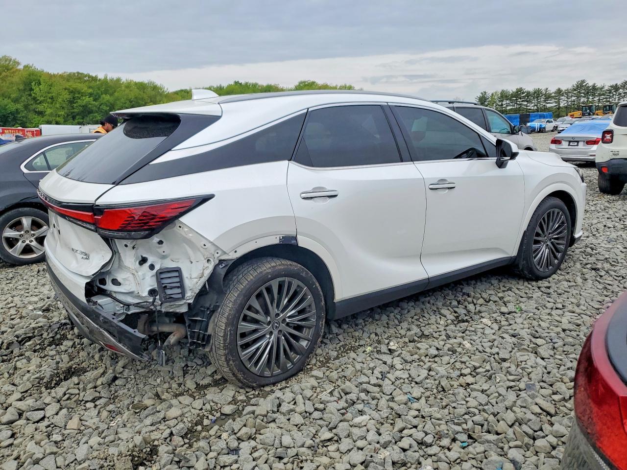 2024 LEXUS RX 350