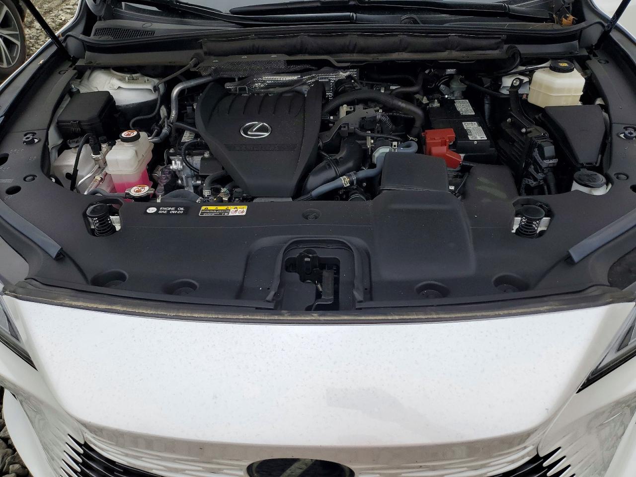2024 LEXUS RX 350
