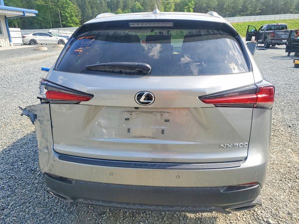 2019 LEXUS NX 300 300 Luxury