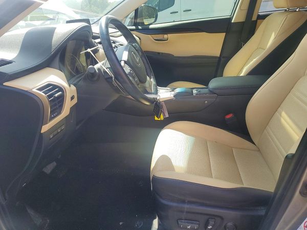 2019 LEXUS NX 300 300 Luxury