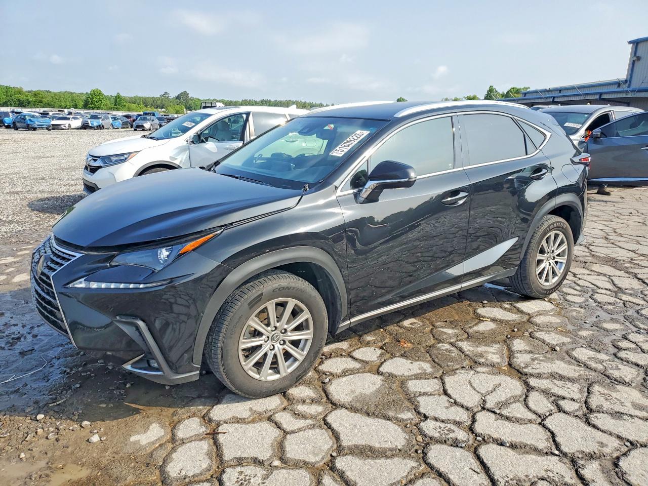 2019 LEXUS NX 300 300 Luxury