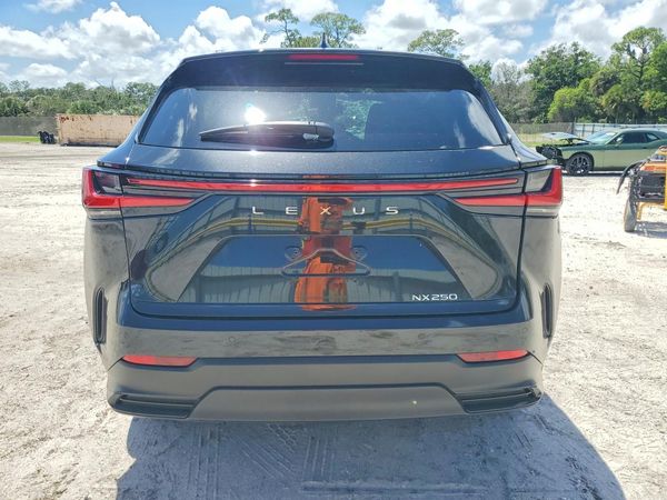 2025 LEXUS NX 350 Premium