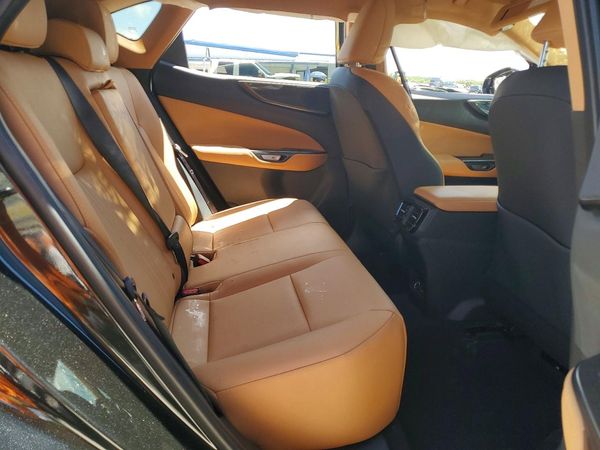 2025 LEXUS NX 350 Premium