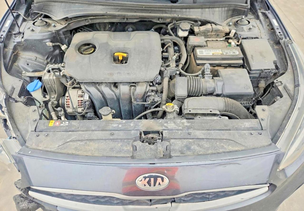 2019 KIA FORTE FE/LX/LXS