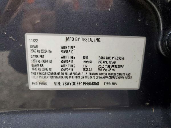 2023 TESLA MODEL Y