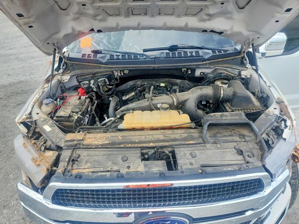 2019 FORD F150