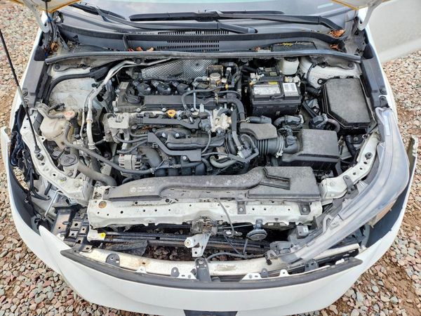 2023 TOYOTA COROLLA