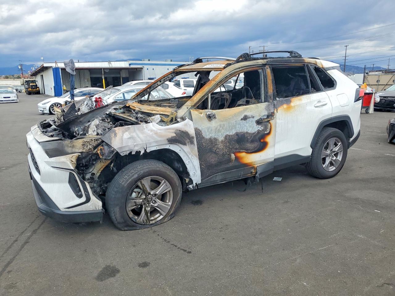 2025 TOYOTA RAV4