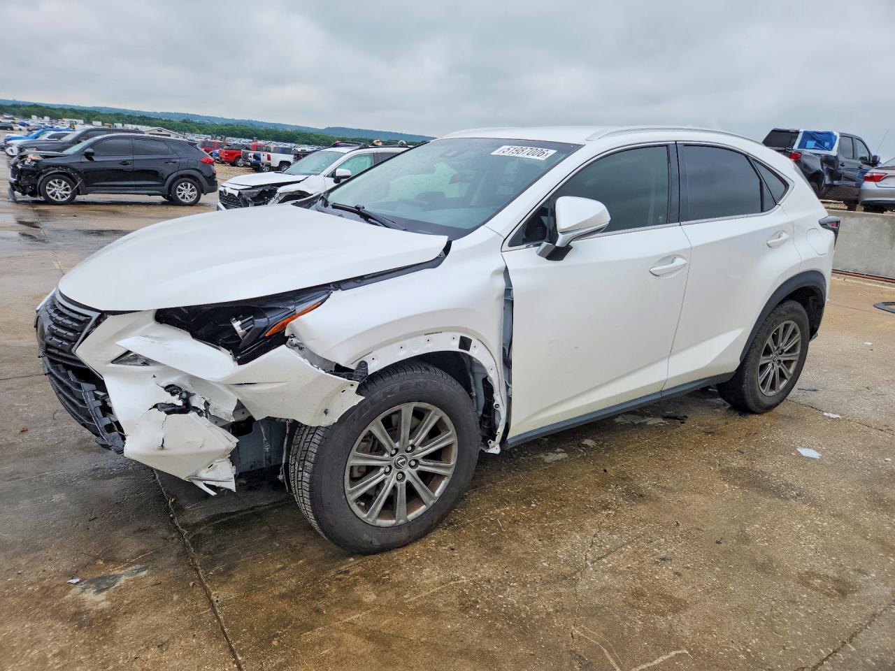 2019 LEXUS NX 300 300 Luxury