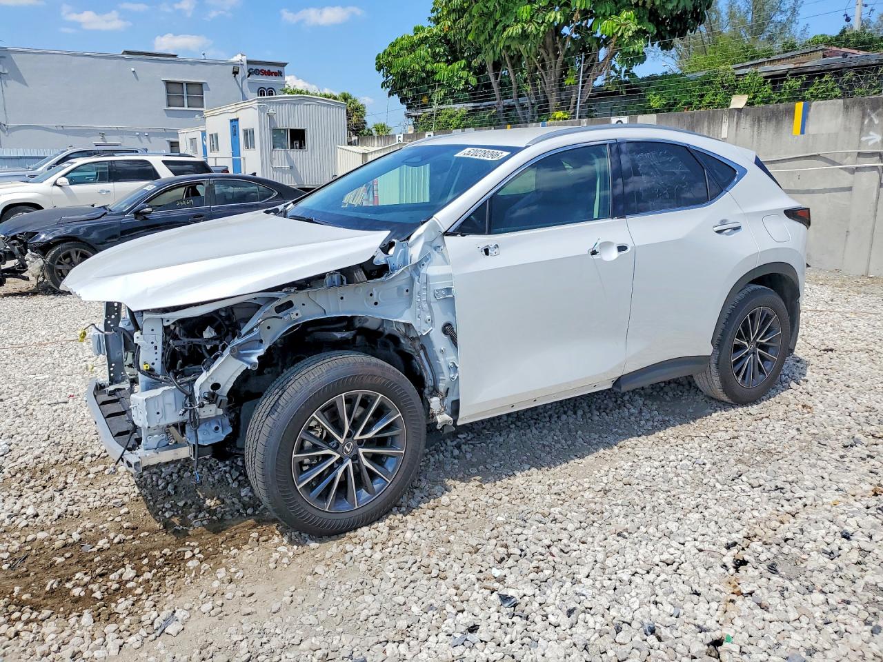 2025 LEXUS NX 250 350 Base