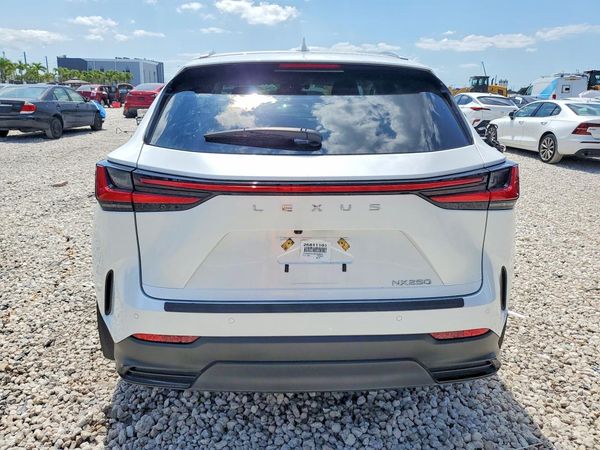 2025 LEXUS NX 250 350 Base