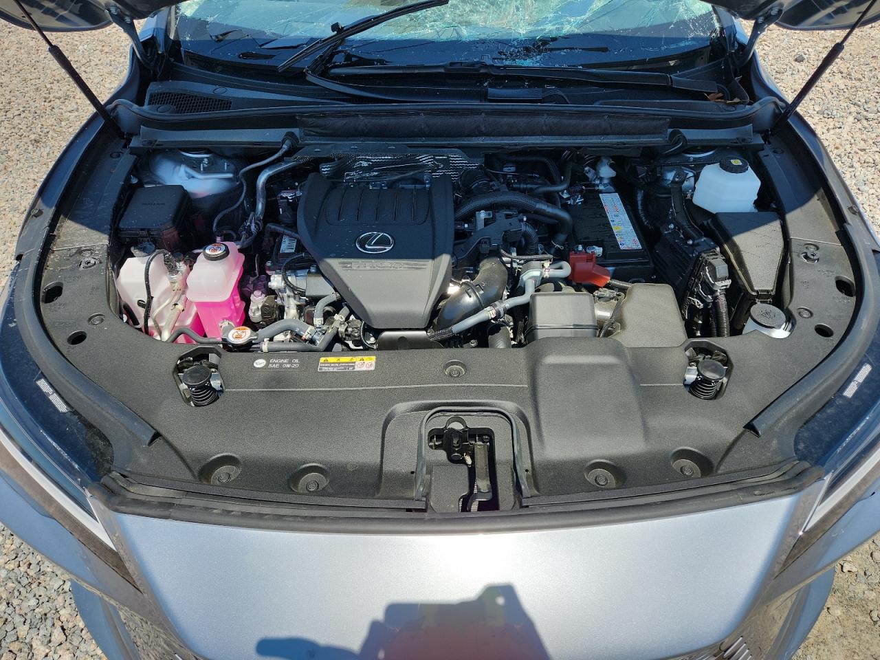 2026 LEXUS RX 350