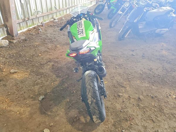 2025 KAWASAKI EX