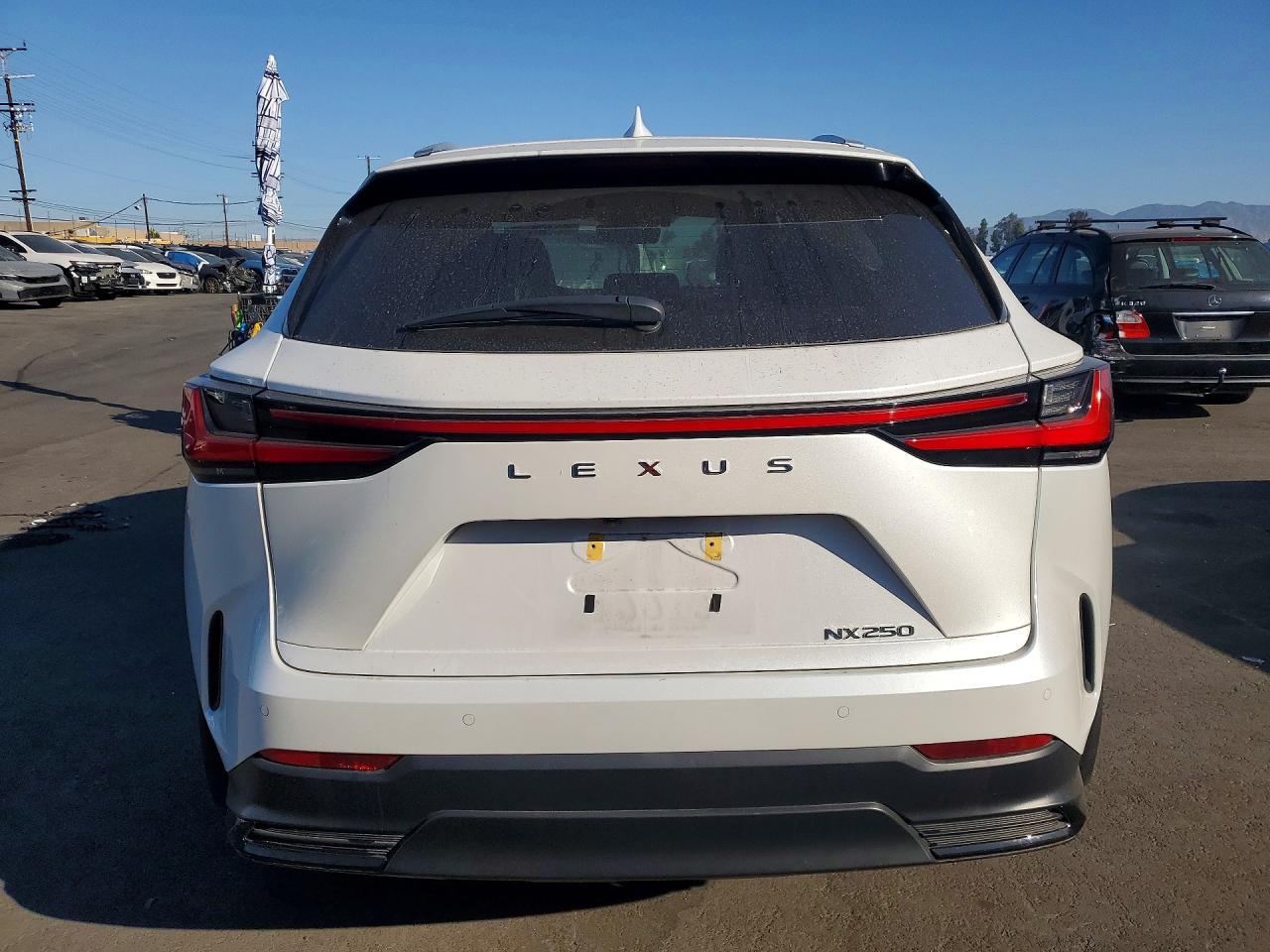 2025 LEXUS NX 250 350 Base