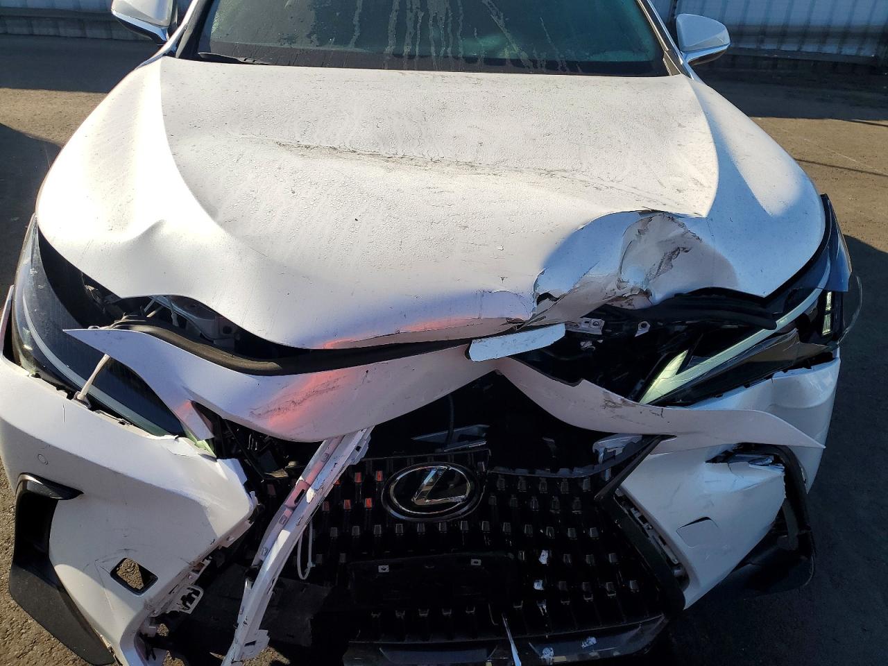 2025 LEXUS NX 250 350 Base