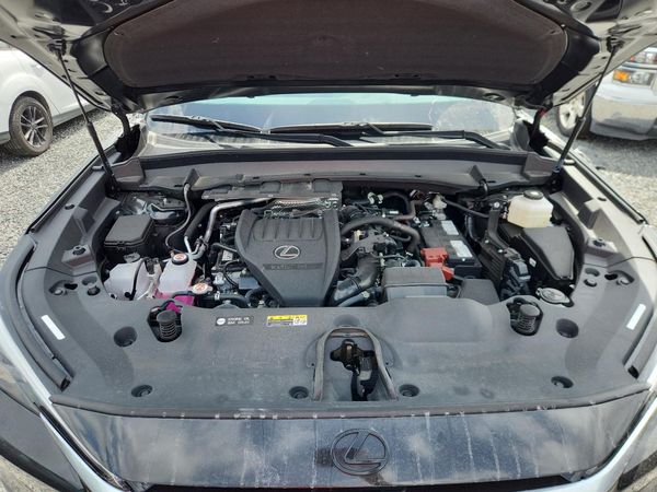 2025 LEXUS TX 350