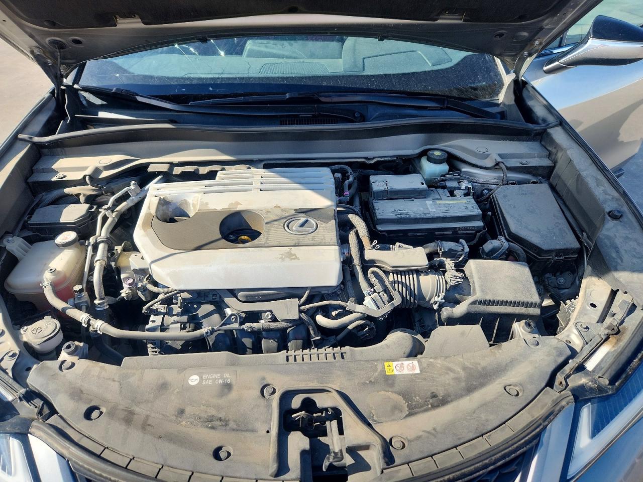 2019 LEXUS UX 200 Base/Luxury/F Sport