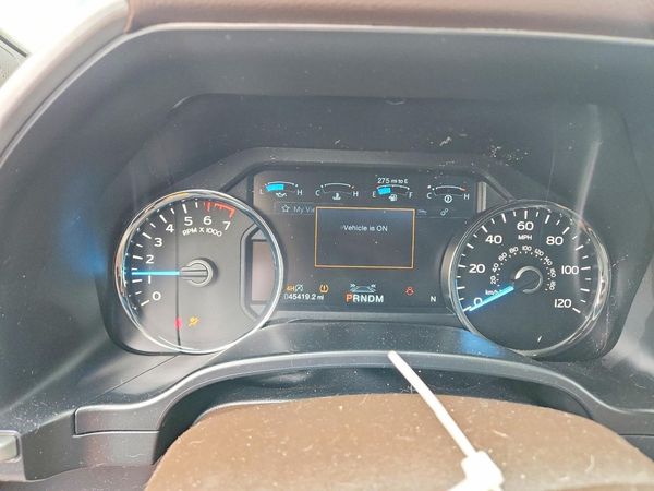 2019 FORD F150