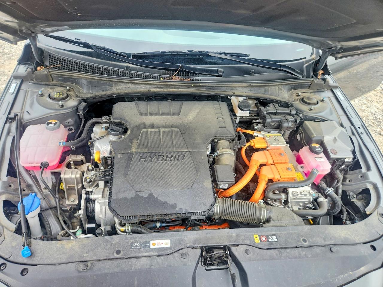 2025 HYUNDAI ELANTRA HYBRID Blue, SEL Sport