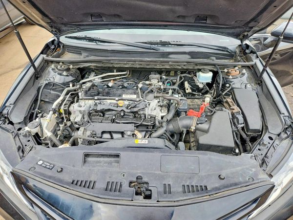 2019 TOYOTA CAMRY L/LE/SE/XLE