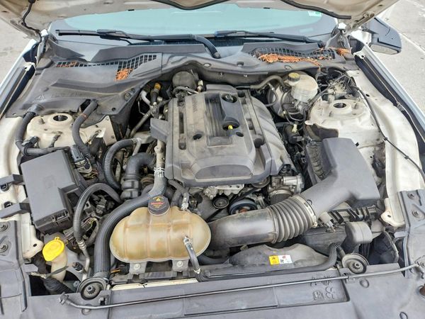 2018 FORD MUSTANG I4 Coupe