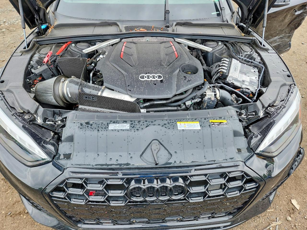 2025 AUDI S5 quattro Premium Plus
