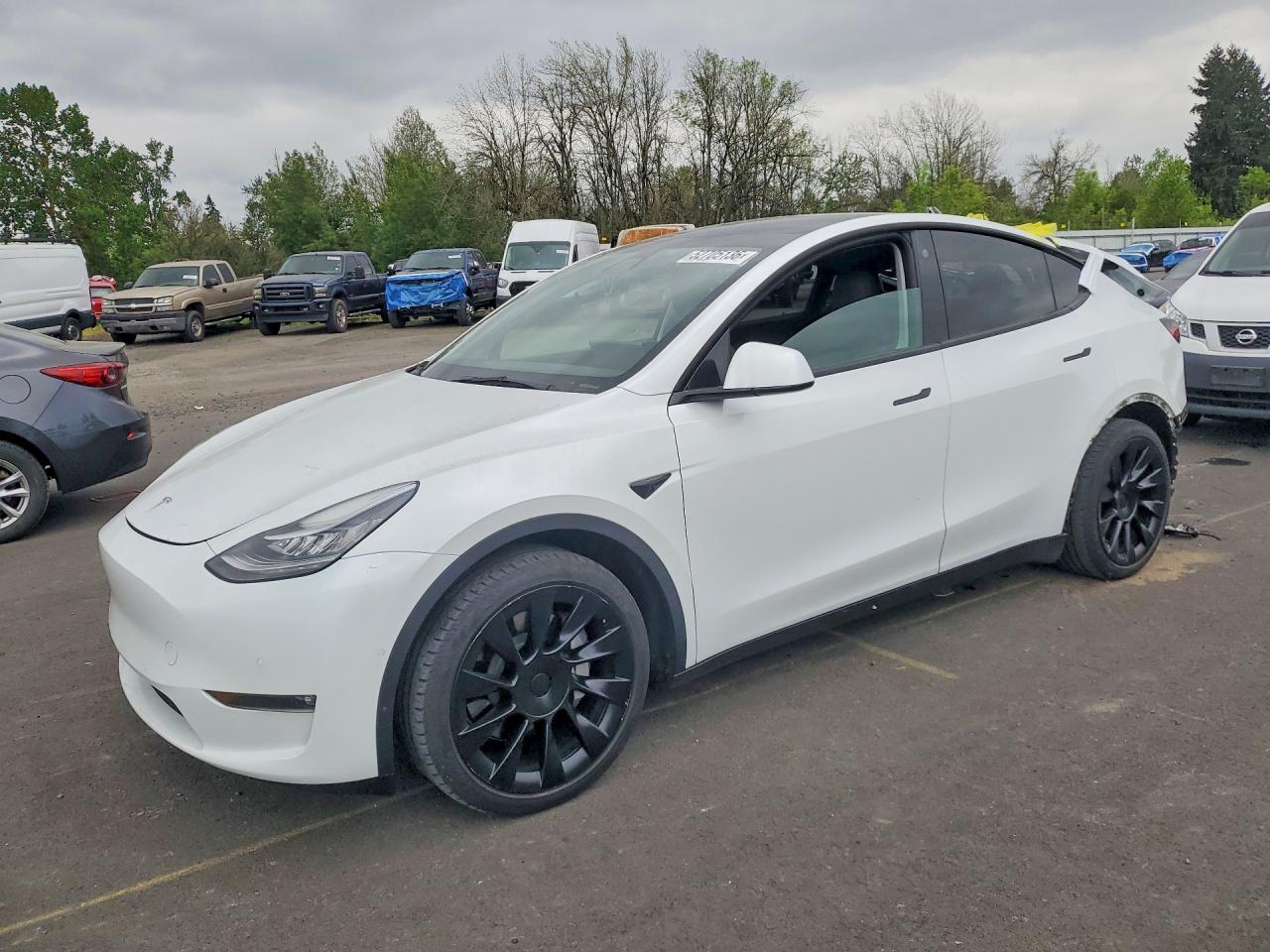2021 TESLA MODEL Y