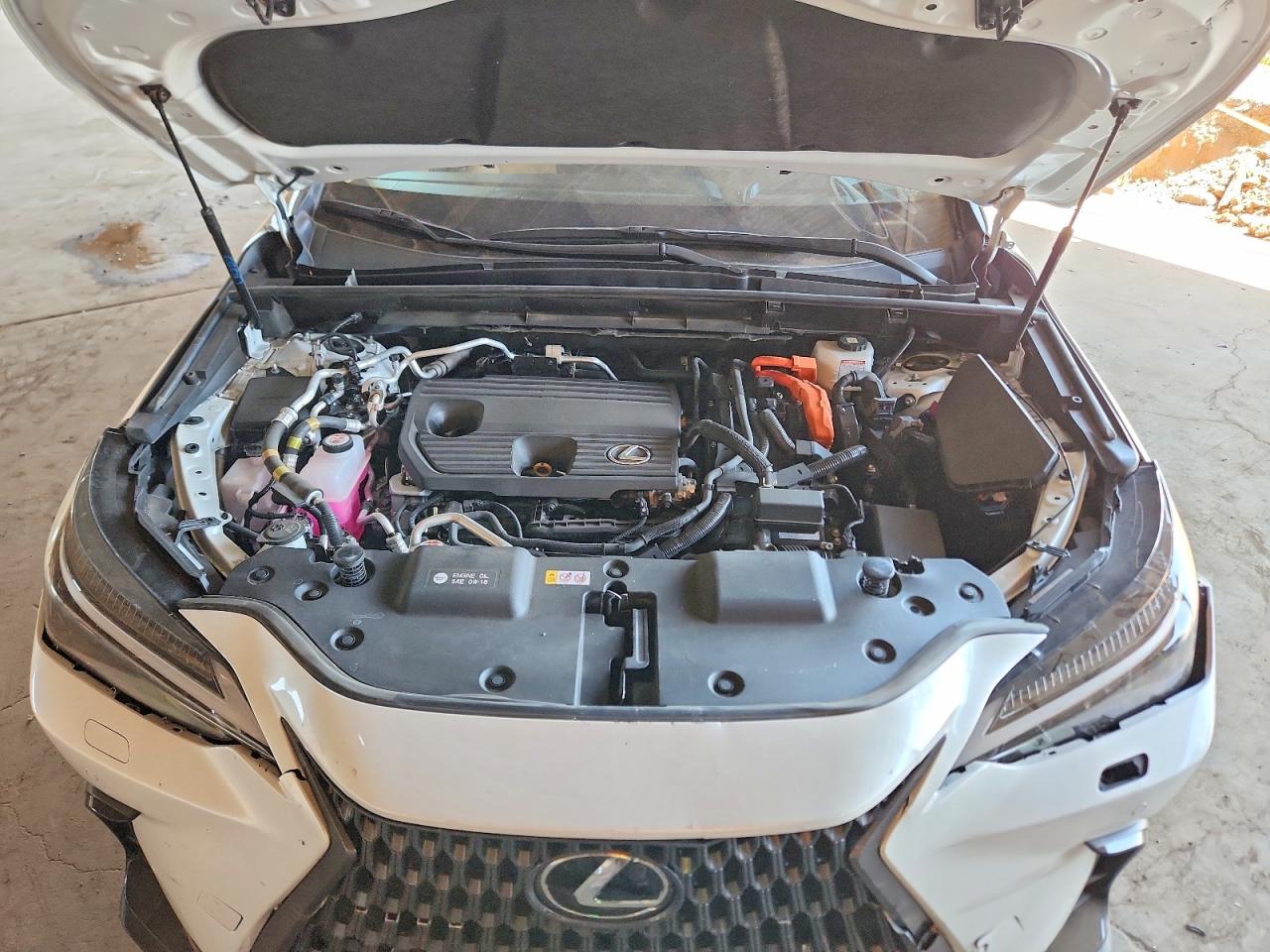 2024 LEXUS NX 450H+ 450h+ Luxury