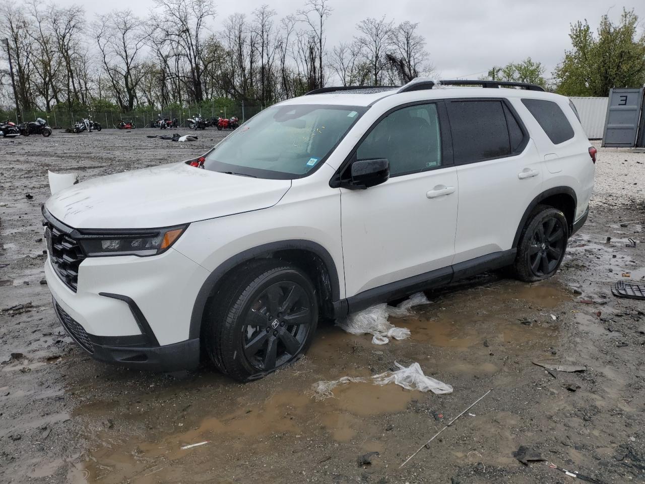 2023 HONDA PILOT BLACK EDITION