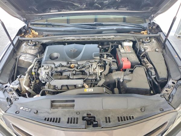 2019 TOYOTA CAMRY L/LE/SE/XLE