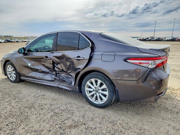 2019 TOYOTA CAMRY L/LE/SE/XLE — DSRA