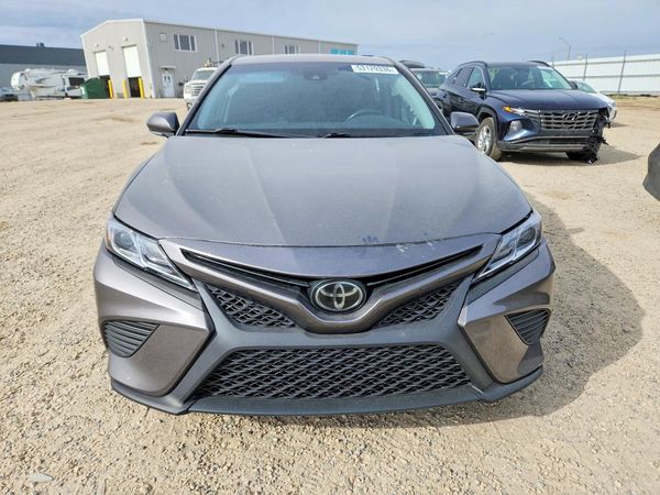 2019 TOYOTA CAMRY L/LE/SE/XLE — DIRF