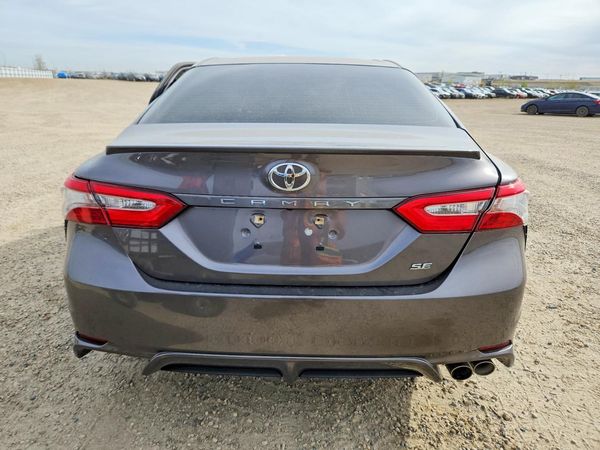 2019 TOYOTA CAMRY L/LE/SE/XLE — DIRR