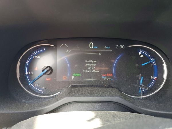 2024 TOYOTA RAV4 LE